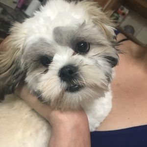 Meet your Posher, Mariana